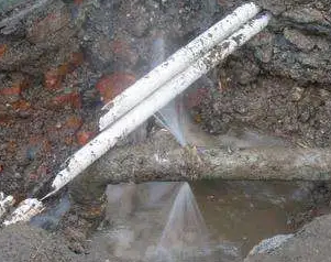 察哈尔右翼后水管维修费用是多少