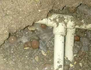 察哈尔右翼后卫生间测漏