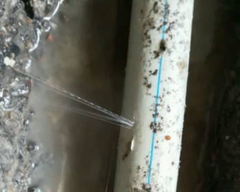 察哈尔右翼后卫生间测漏水多少钱