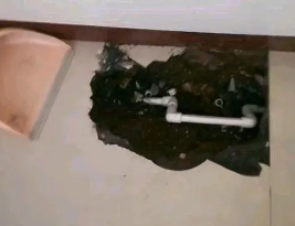 察哈尔右翼后卫生间测漏水多少钱